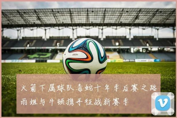 火箭下属球队毒蛇十年季后赛之路雨姐与牛顿携手征战新赛季