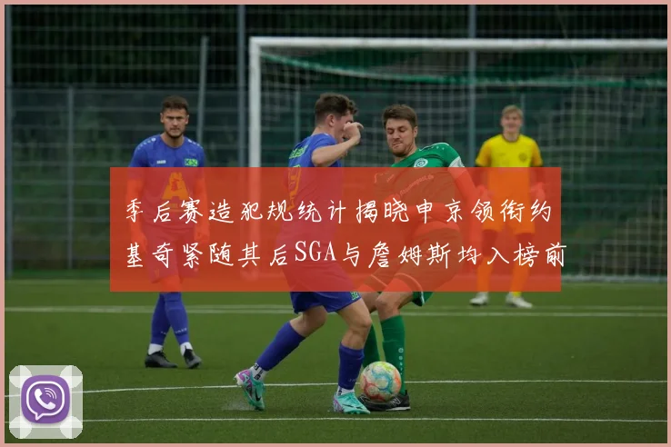 季后赛造犯规统计揭晓申京领衔约基奇紧随其后SGA与詹姆斯均入榜前十