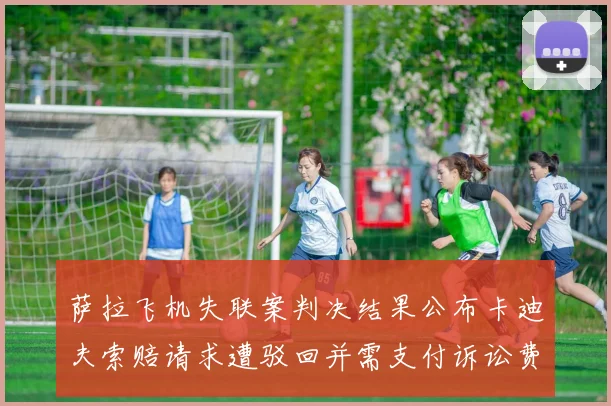 萨拉飞机失联案判决结果公布卡迪夫索赔请求遭驳回并需支付诉讼费